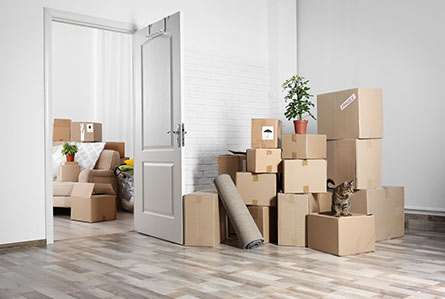 Move-In and Move-Out Cleaning